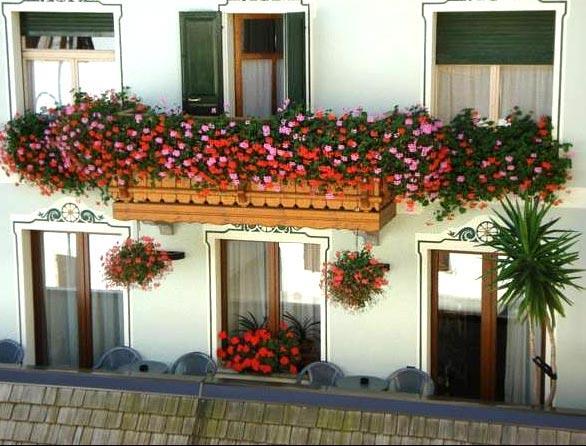 Hotel Scarpone 3*